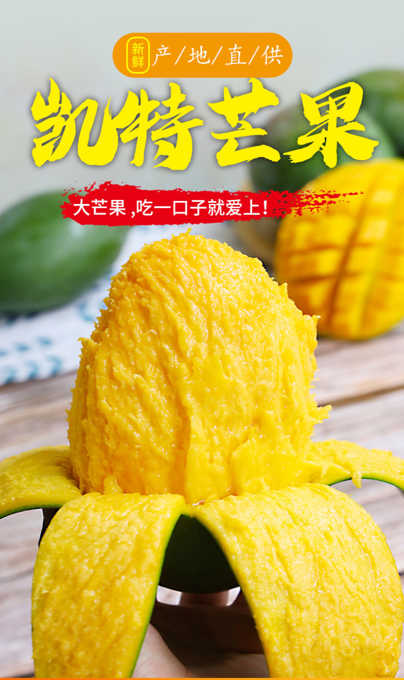 供应链一件代发四川攀枝花凯特芒果供应电商平台直播等
