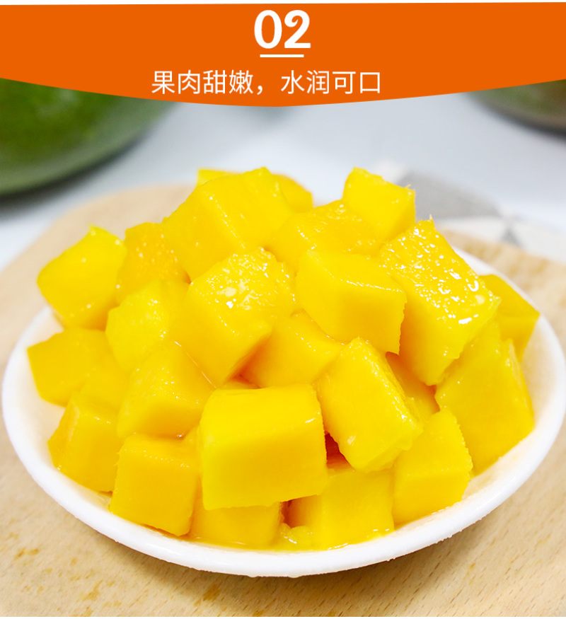 供应链一件代发四川攀枝花凯特芒果供应电商平台直播等