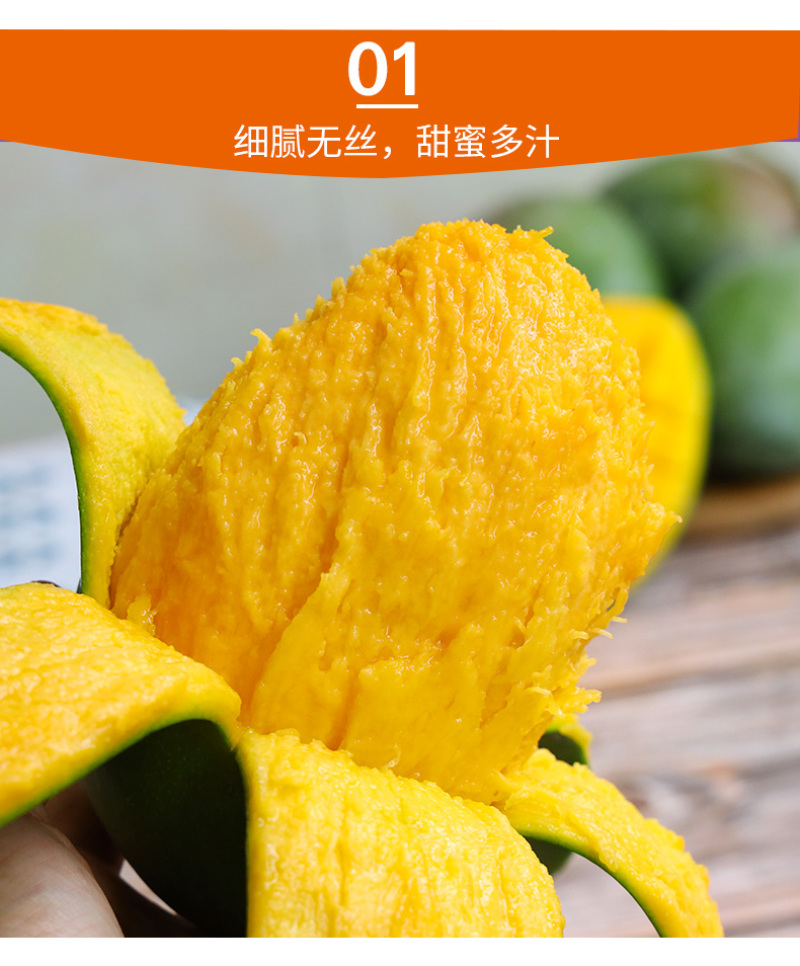 供应链一件代发四川攀枝花凯特芒果供应电商平台直播等