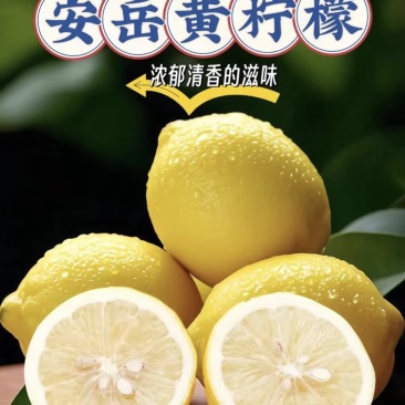 四川尤力克柠檬精品柠檬一件代发对接电商市场商超