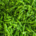 【热卖中】陕西定边芜湖椒/大量上市/对接全国市场/商超/电商