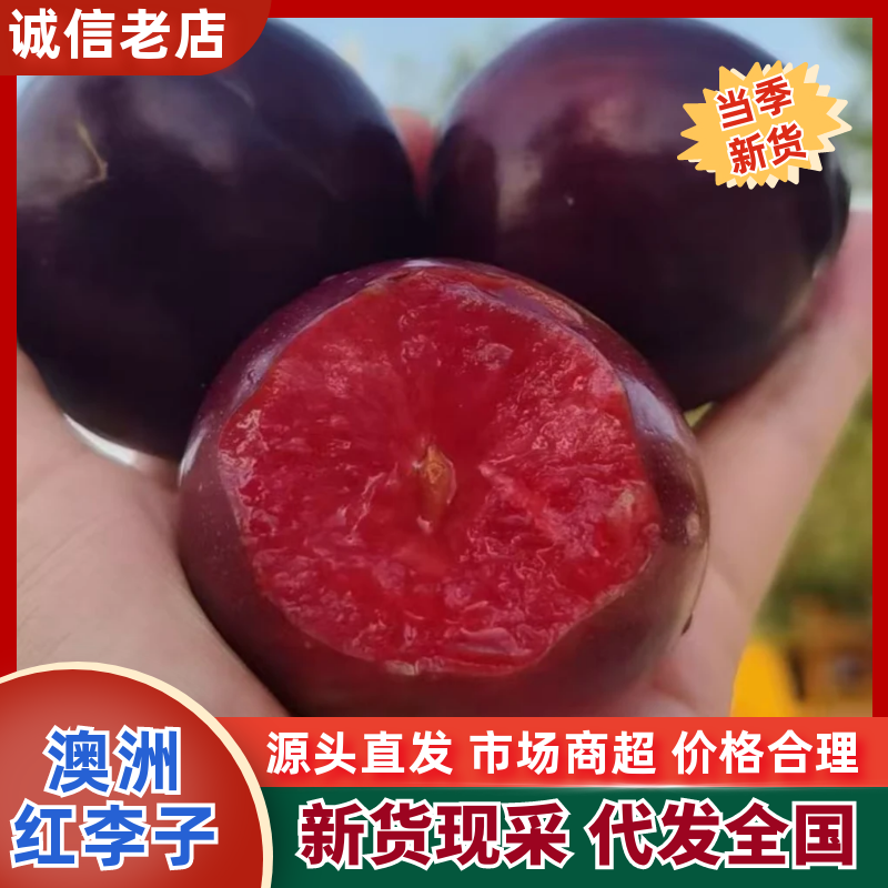 味帝澳洲红五月脆八宝丹大芙蓉\口感脆甜\供应市场电商外贸