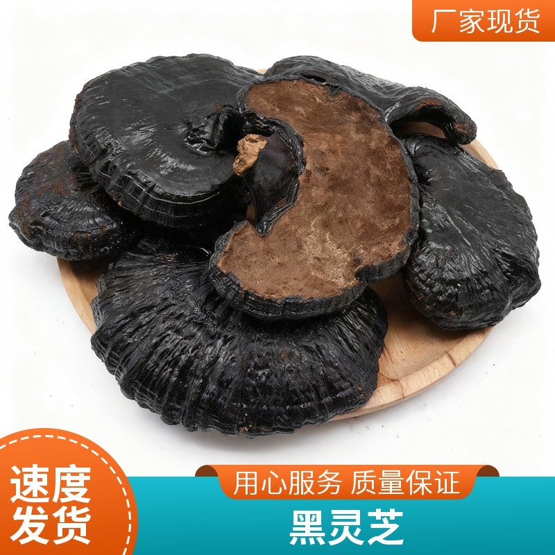 黑灵芝干货不苦黑芝泡酒煲汤泡茶滋补中药材源头批发