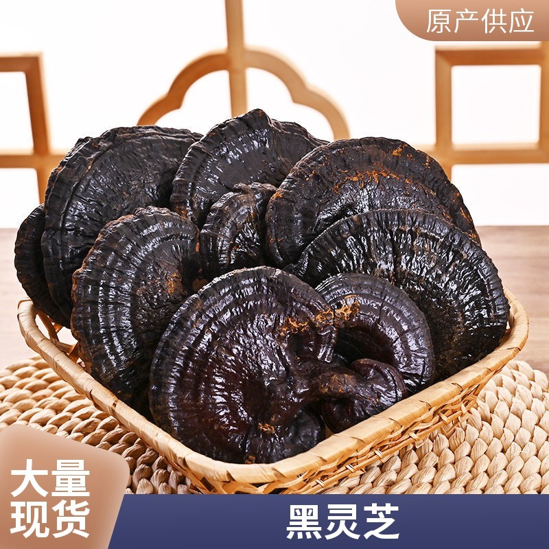 黑灵芝干货不苦黑芝泡酒煲汤泡茶滋补中药材源头批发