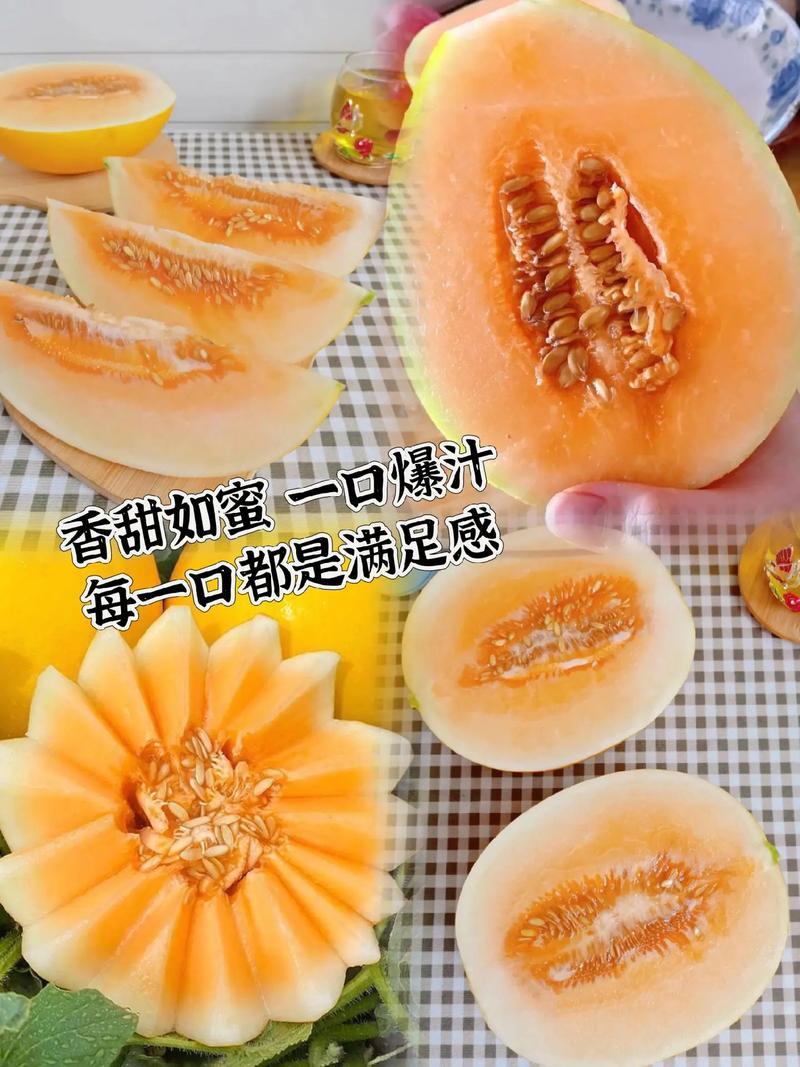 甘肃黄河蜜瓜/基地直发/一手货源/包熟包甜/可视频看货