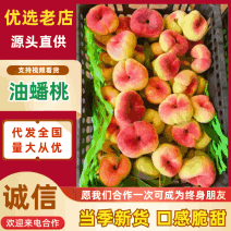 蟠桃油蟠桃陆地开口笑上市中！欢迎全国客商骚扰！适合板车大军