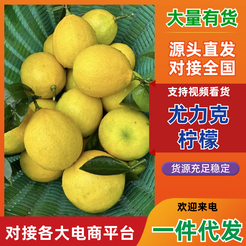 四川尤力克柠檬精品柠檬一件代发对接电商市场商超