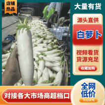 【热卖中】陕西定边白萝卜/大量上市/对接全国市场/商超/电商
