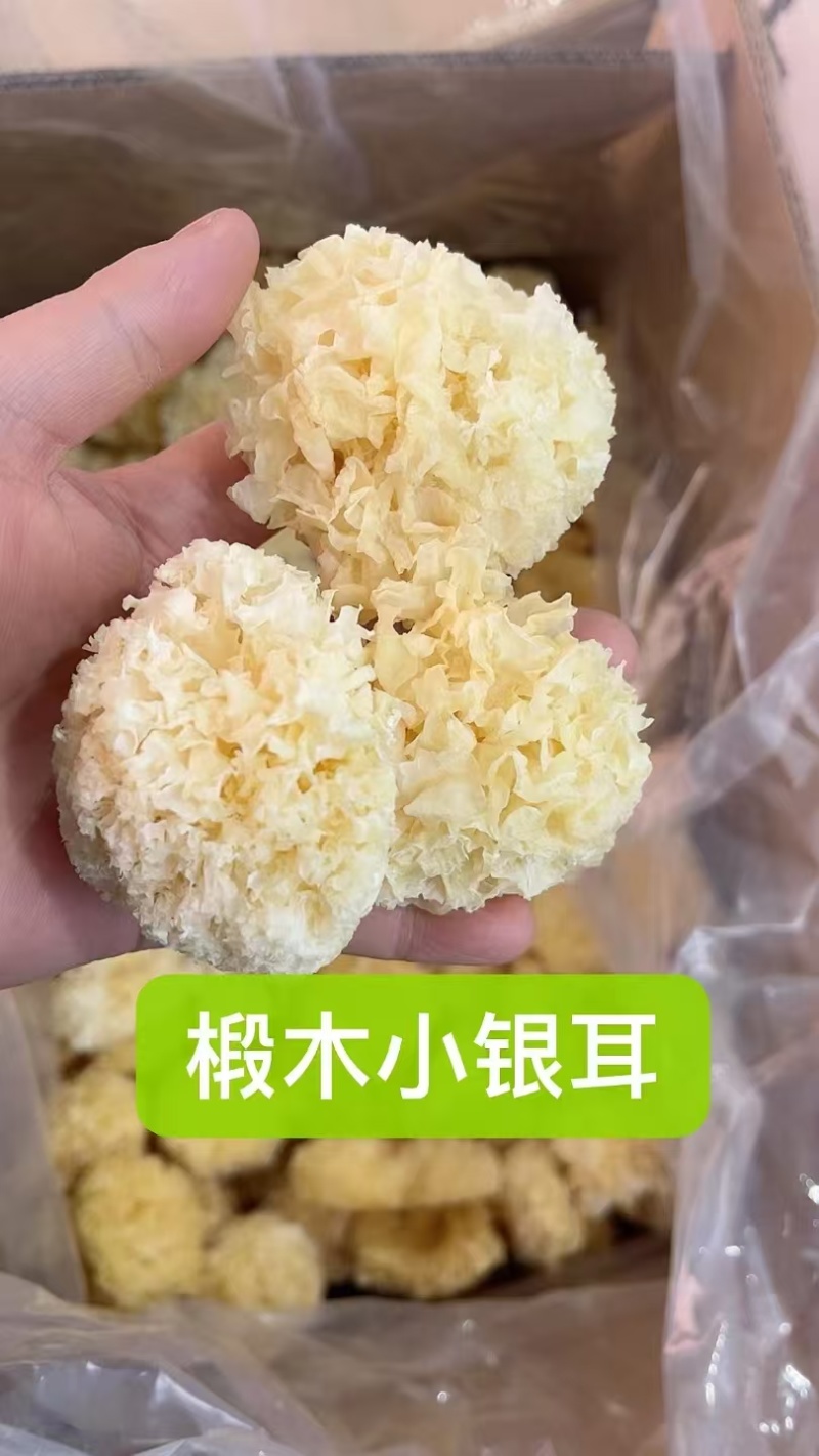 河南银耳干净无杂脱硫全年供货一件也是批发价全国接单