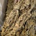 茶树菇颗颗精选香味浓郁完整无杂承接餐饮酒店食堂商超电商