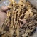 茶树菇颗颗精选香味浓郁完整无杂承接餐饮酒店食堂商超电商
