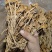 茶树菇颗颗精选香味浓郁完整无杂承接餐饮酒店食堂商超电商
