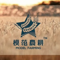 模范农耕延边大米自家种植当年新米（5KG）