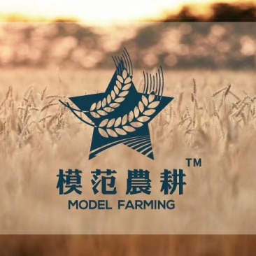 模范农耕延边大米自家种植当年新米（5KG）