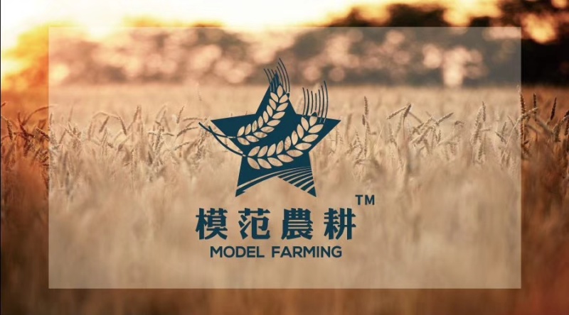 模范农耕延边大米自家种植当年新米（5KG）