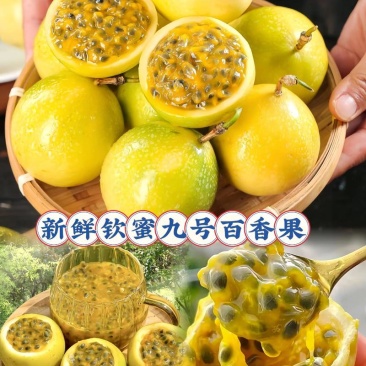 广东百香果/钦蜜9号/产地直发/大量有货/可视频看货