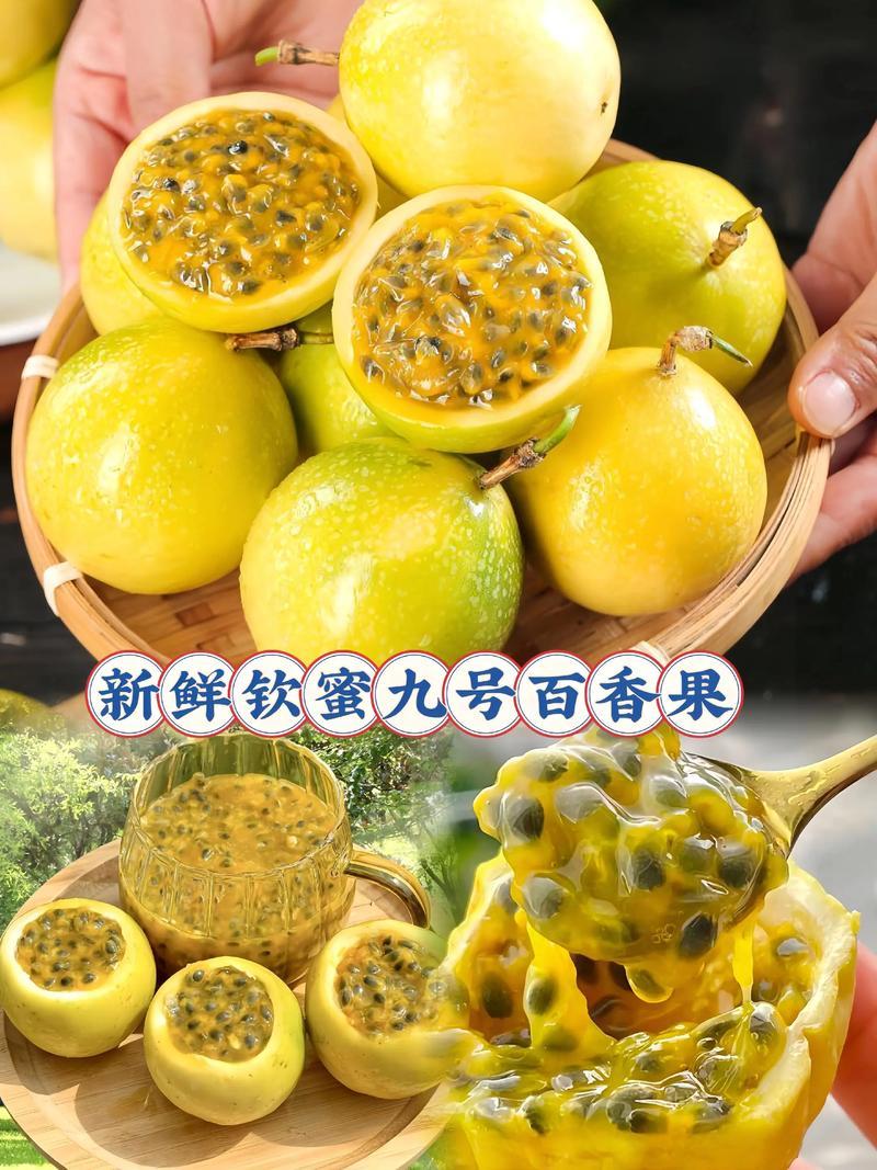 广东百香果/钦蜜9号/产地直发/大量有货/可视频看货