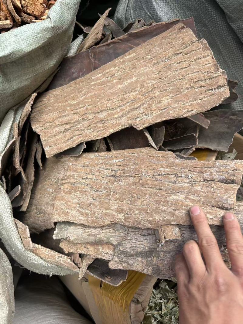 生杜仲杜仲皮中药材杜仲老树厚皮野生老树杜仲皮整捆