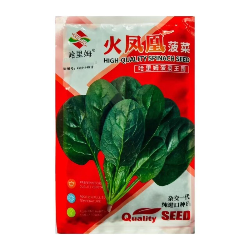 火凤凰菠菜种子纯进口种杂交耐热耐抽苔菠菜种籽直立抗霜霉病