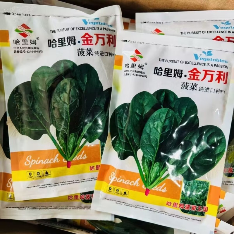 丹麦进口哈里姆金万利菠菜种子杂交抗病耐热耐寒半圆叶菠菜籽