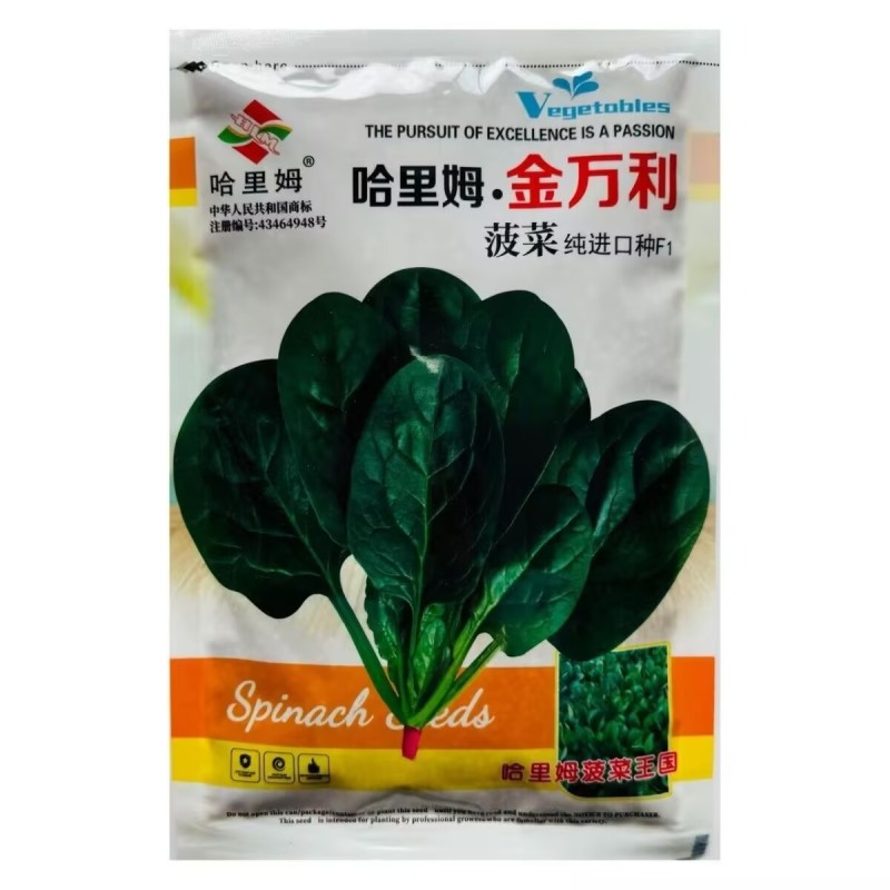 丹麦进口哈里姆金万利菠菜种子杂交抗病耐热耐寒半圆叶菠菜籽