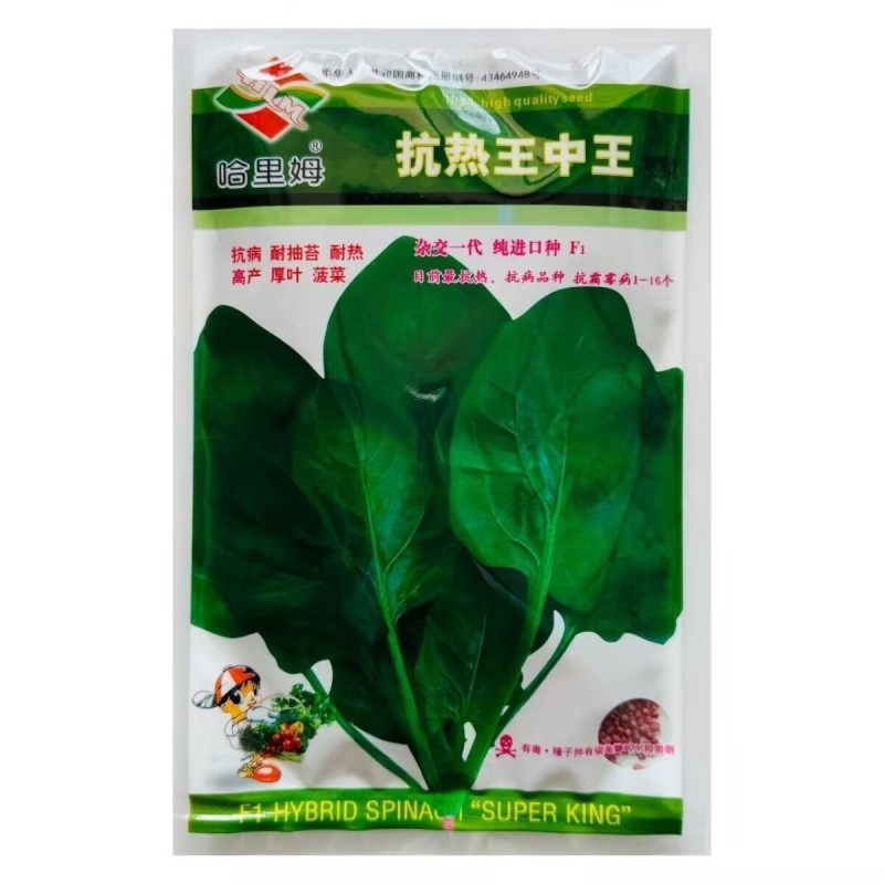 抗热王中王菠菜种子耐热性强叶片厚实抗病高产口感好菠菜种子
