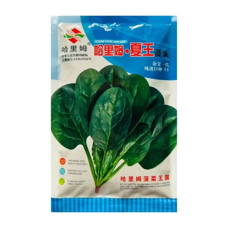 哈里姆夏王菠菜种子高产抗病耐高温菠菜种籽抗1-16个霜霉