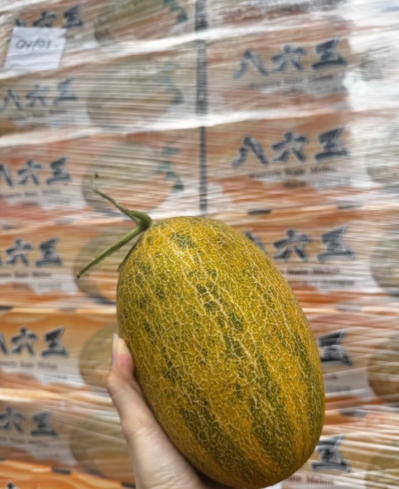 新疆八六王哈密瓜脆甜多汁基地直发供应市场电商商超