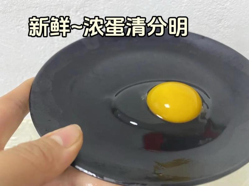 湖北自养初生蛋/保质保量诚信经营/可团购批发对接商超