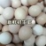 湖北自养初生蛋/保质保量诚信经营/可团购批发对接商超
