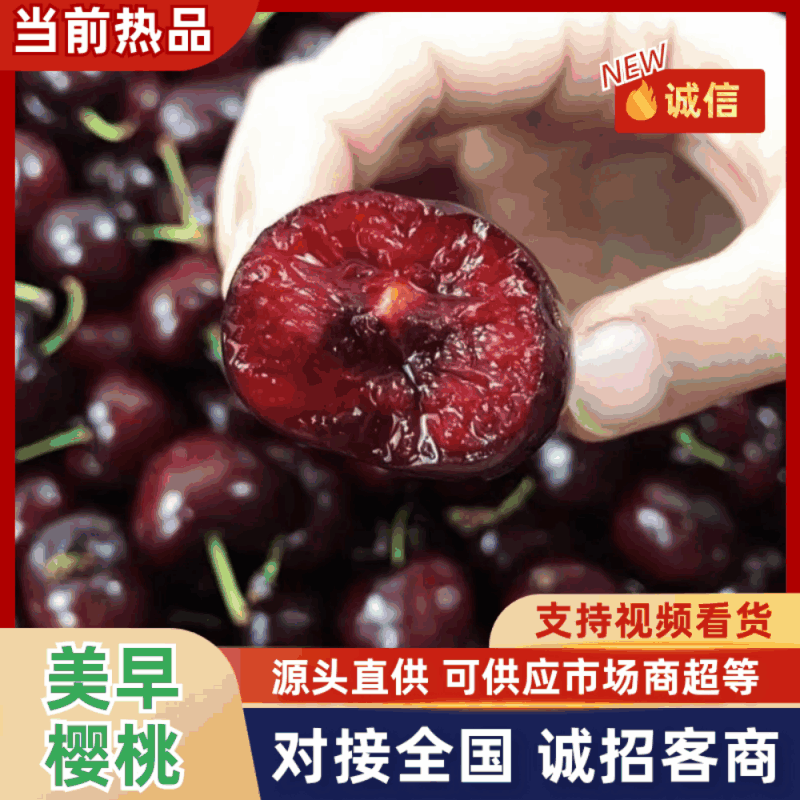 【热卖中】甘肃天水樱桃/套袋美早樱桃/产地直供/量大优惠