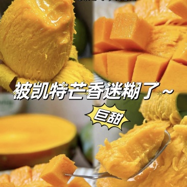 凯特芒精品芒果一件代发可对接全国电商市场商超摊贩等