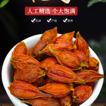 栀子栀子江西黄栀子果山栀子红野生香料上色食用栀子包邮