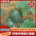 香芋南瓜精品南瓜产地直发保质保量对接全国商超市场