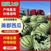 【热卖中】河南西瓜/有籽美都西瓜/大量特惠供应/欢迎来电