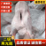 【精品】现货二级两光鹅//厂家直供/质量保证/欢迎来电合作