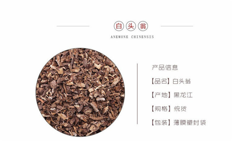 白头翁新货无硫白头翁白头草奈何草白头翁大货批发零售