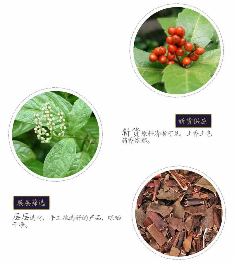 肿节风广西新货肿节风观音茶干净无杂货干九节风大货批发包邮