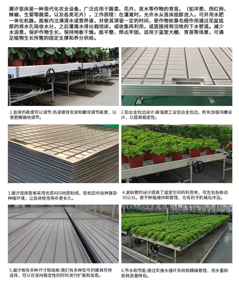河北潮汐苗床ABS一体床面循环灌溉育苗