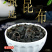 昆布昆布新货清水洗昆布干货无杂海昆布假一赔十批发零售
