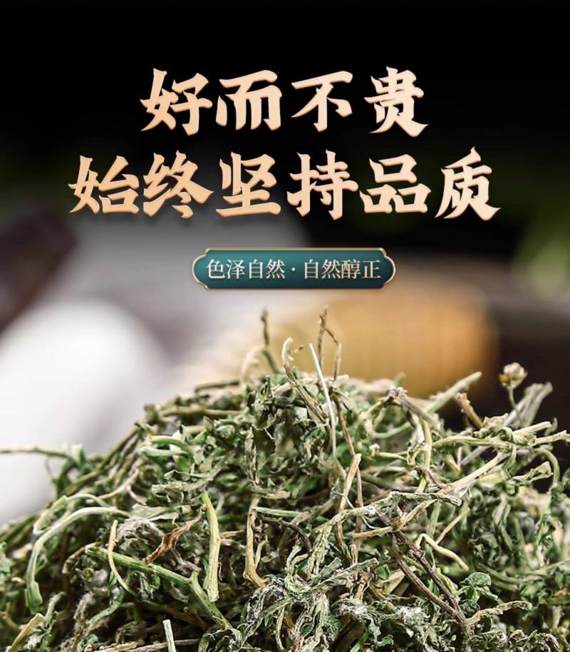 鹅不食草新货鹅食草色青无杂质批发零售正品鹅不食草