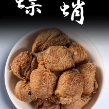 桑螵蛸山东新货桑票稍生螵蛸干净桑螵梢各种规格包邮