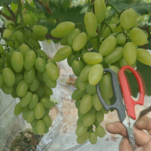 维多大量有货对接全国市场商超电商团购欢迎来电