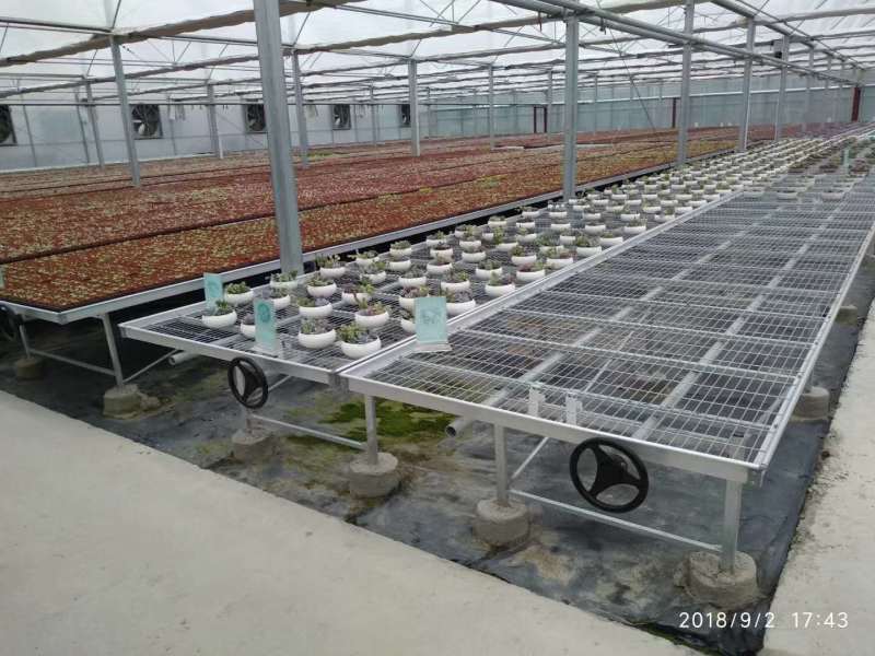 河北移动苗床省人工耐用大棚育苗用