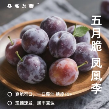 五月脆李子凤凰李产地直发量大从优可对接全国电商市场等