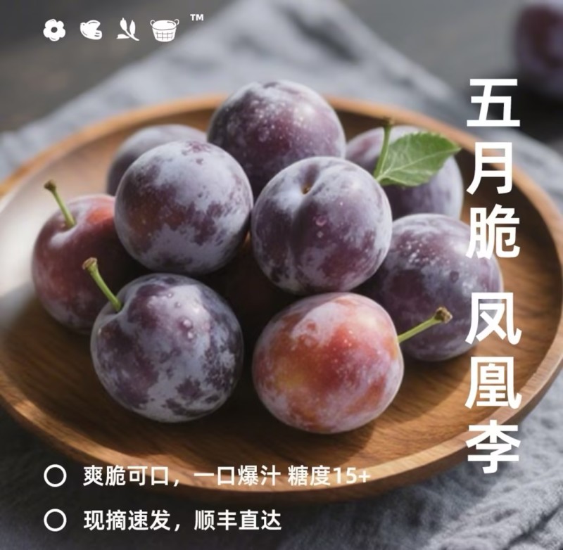 五月脆李子凤凰李产地直发量大从优可对接全国电商市场等