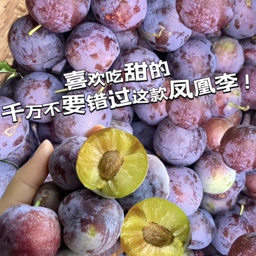 精品李子五月脆李子几十万斤脆甜可口品质保障先到先得