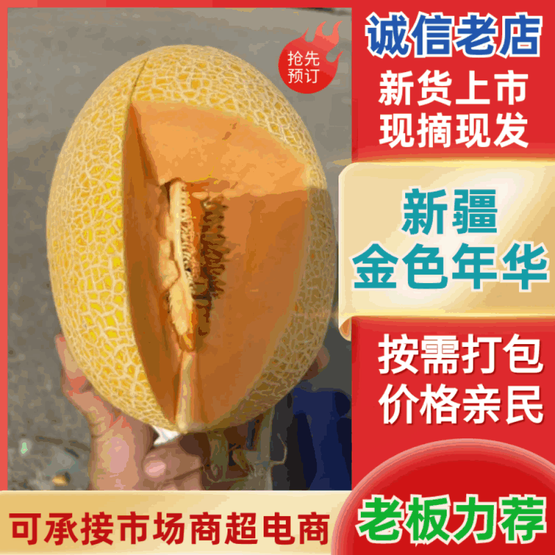 新疆金色年华密瓜产地直发一手货源对接全国