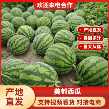 山西万荣2026大棚无籽美都西瓜薄皮大红瓤货源充足