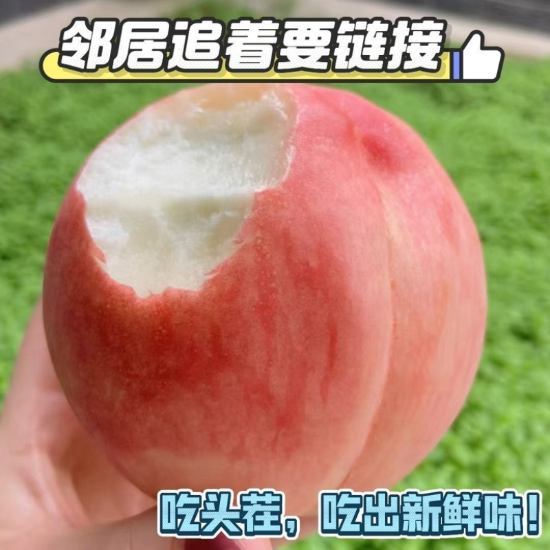 【春雪毛桃】河北精品春雪桃大量上市货源充足